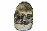 Free-Standing, Polished Septarian Geode - Black Crystals #302878-1